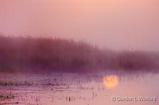 Foggy Sunrise Reflected_20957.jpg - Rideau Canal Waterway photographed near Smiths Falls, Ontario, Canada.